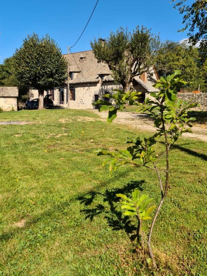Maison Typique Auvergnate, Piscine Et Four A Pain Saint-Christophe-Les-Gorges Exterior photo