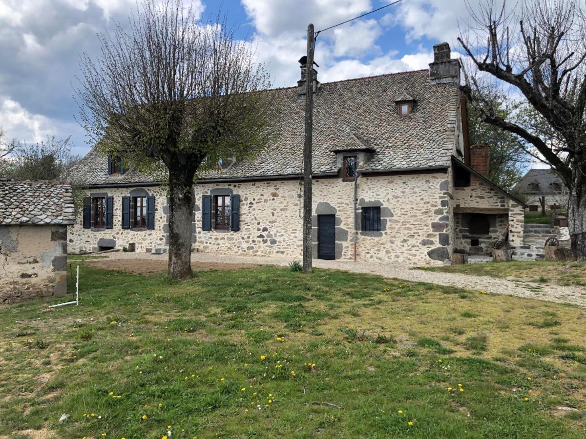 Maison Typique Auvergnate, Piscine Et Four A Pain Saint-Christophe-Les-Gorges Exterior photo